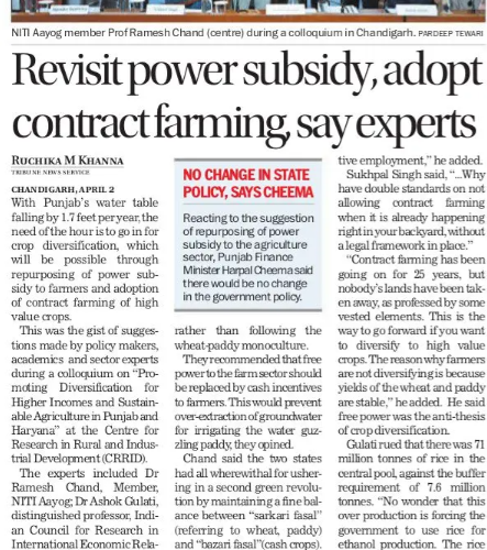 Niti Aayog expert flags paddy overproduction, calls for shift