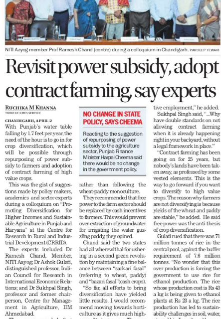 Niti Aayog expert flags paddy overproduction, calls for shift